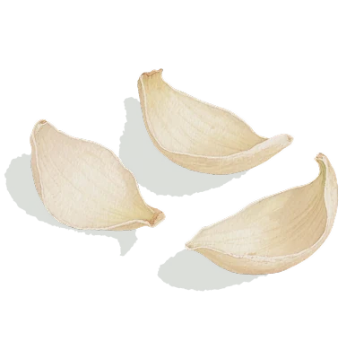 百合